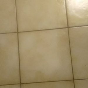 Meet your Posher, Al